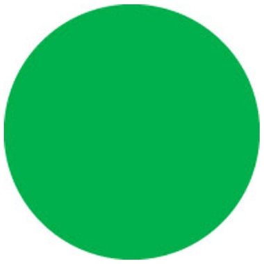 Showtec Colour Sheet Economy 122 x 55 cm Fern Green